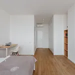 Apartment Royal Sky Penthouse